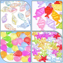 120pcs 4 transparente Acrylanhänger im Stil&nbsp;TACR-SP0001-30