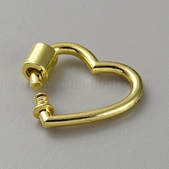 Amuletos de bloqueo de mosquetón de tornillo de aleación&nbsp;FIND-WH0126-465G