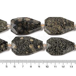 Naturschneeflocke Obsidian Perlen Stränge&nbsp;G-P548-B20-01