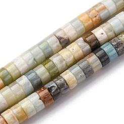 Brins de perles d'amazonite de fleurs naturelles&nbsp;LS-G-Z006-C49