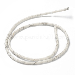 Fili di perline howlite naturale&nbsp;G-B004-A11
