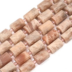 Natürliche sunstone Perlen Stränge&nbsp;G-G453-E09-10x14mm