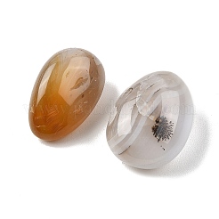 Natur Ozean Jaspis Perlen&nbsp;G-G348-01B-38