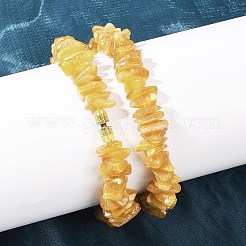 Collane di perline di ambra naturale&nbsp;NJEW-L466-03C