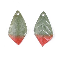 Pendentifs en plastique&nbsp;KY-N015-041B