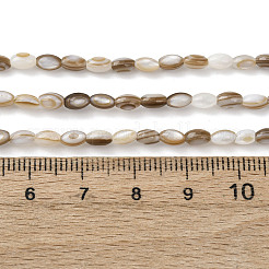Natürlichen Süßwasser-Muschelperlen Stränge&nbsp;SHEL-K006-78B