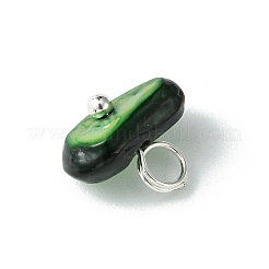 Breloques de coquillages teints en copeaux naturels&nbsp;PALLOY-JF01338-02