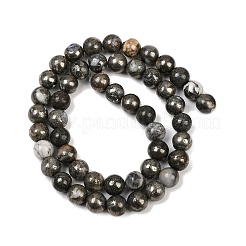 Natürliche Pyrit Perlen Stränge&nbsp;G-G839-01-8mm