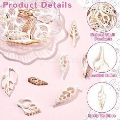 18 pieza de 6 estilos de colgantes grandes de concha natural&nbsp;BSHE-YW0001-20