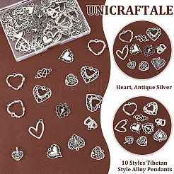 60 pièces 10 styles pendentifs en alliage de style tibétain&nbsp;FIND-UN0015-56