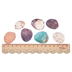 Gefärbte natürliche Muschelperlen&nbsp;BSHE-PH0003-02