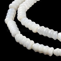 Natürliche Trochusmuschelperlenstränge&nbsp;BSHE-Z003-17