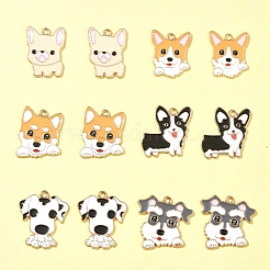 12pcs 6 Arten Legierungsanhänger&nbsp;ENAM-FS0001-81
