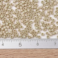 Miyuki Delica Perlen&nbsp;X-SEED-J020-DB2301