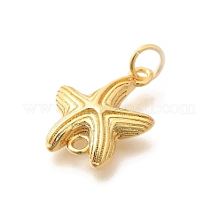 Gestellplattierung Messing Stern Fisch Verbindungsstück Charms&nbsp;KK-L225-046G