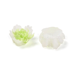 Leuchtende Decoden-Cabochons aus Harz&nbsp;LS-RESI-K036-06F-02