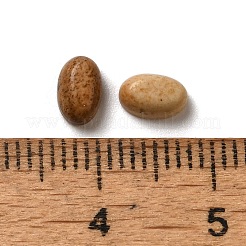Natur Bildjaspisses cabochons&nbsp;G-F605E-21A