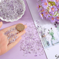 500g natürliche Amethyst-Chipperlen&nbsp;G-SP0001-09