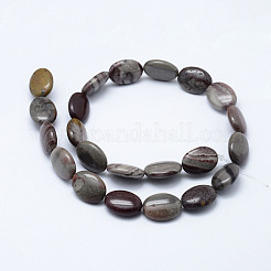 Fili di perline di diaspro policromo naturale/pietra di picasso/diaspro picasso&nbsp;G-L472-B-05-18x13mm