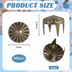 300 rivet en fer&nbsp;IFIN-PH0002-46