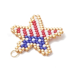 Pendentifs en perles de verre&nbsp;PALLOY-MZ01256