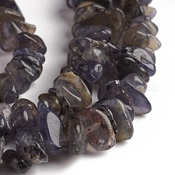Naturperlen Stränge iolite&nbsp;G-D0002-C48