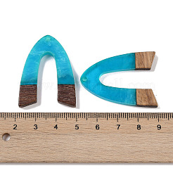 Colgantes de resina & madera&nbsp;WOOD-F015-16F