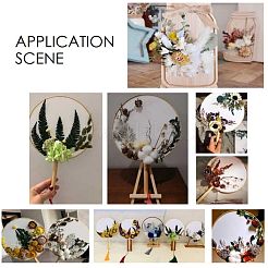 Fiore essiccato&nbsp;DIY-B018-02