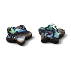 Natürliche Abalone-Muschel / Paua-Muschelperlen&nbsp;SHEL-B003-06