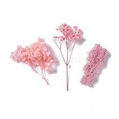 Getrocknete Blumen&nbsp;X-DIY-D052-05