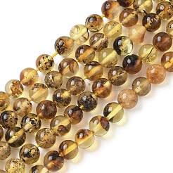 Perles d'ambre naturel brins&nbsp;G-L095-B01-5mm-03