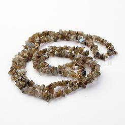 Natur Labradorit Chips Perlen Stränge&nbsp;X-F069