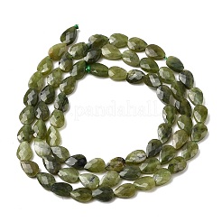 Natürliche kanadische Jade Perlen Stränge&nbsp;G-B159-A12