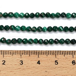 Natur Malachit Perlen Stränge&nbsp;G-C262-A02-3mm