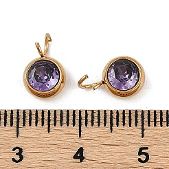 Ionenplattierung (IP) 304 Edelstahl Micro Pave Zirkonia Charms&nbsp;X-STAS-Z094-02G-04