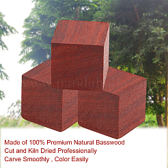 Naturholzperlen&nbsp;WOOD-WH0107-45D