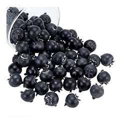 100 Stück Blaubeer-Dekoration aus Kunststoff&nbsp;DJEW-PH0001-72