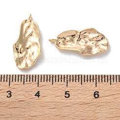 Messing Anhänger & Charms&nbsp;KK-C079-12G