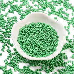Perles de rocaille en verre&nbsp;SEED-A033-05Q