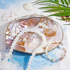 Coquillages naturels pour décorations d'exposition&nbsp;DIY-WH0899-659A