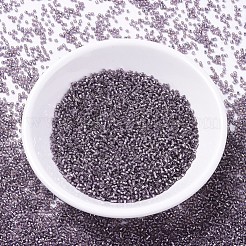 Perles miyuki delica&nbsp;X-SEED-J020-DB1205