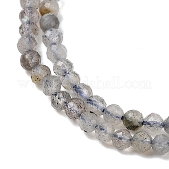 Natur Labradorit Perlen Stränge&nbsp;LS-G-RM250104-E8