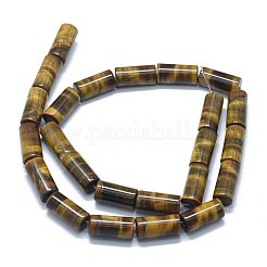 Natürlichen Tigerauge Perlen Stränge&nbsp;G-F631-F01