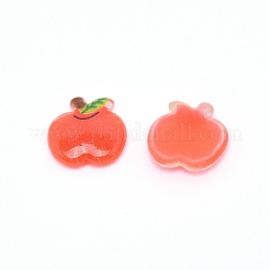 Harz Cabochons&nbsp;RESI-CJC0003-01
