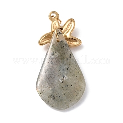 Colgantes de piedras preciosas naturales mezclados&nbsp;G-I343-02