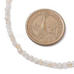 3 mm facettierte&nbsp;NJEW-JN05079-01