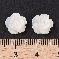 Natürlichen weißen Muschelperlen&nbsp;SSHEL-C012-06