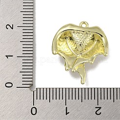 Gestell Legierung Emaille Anhänger&nbsp;PALLOY-F312-49G-01