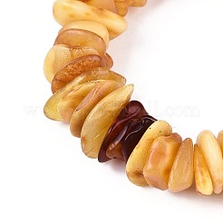 Stretch-Armbänder aus natürlichem Bernstein für Männer und Frauen&nbsp;BJEW-T018-21