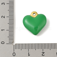 Pendentifs en acier inoxydable 304 émaillés&nbsp;STAS-M071-02H